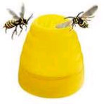 Gevin - GVP-426 - As Seen on TV - Beehive Wasp Trap