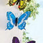 Gevin - GVP-494 - Butterfly Decors - Set of 3