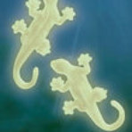 Gevin - GVP-606 - As Seen on TV - Glow-in-the-Dark Gecko-Style Adhesive Decors