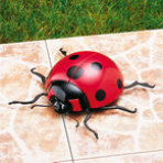 Gevin - GVP-4119 - As Seen on TV - Outdoors Ladybug Decor