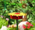Gevin - GVP-429 - As Seen on TV - Sunflower Humming Bird Feeder