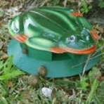 Gevin - GVP-460 - As Seeno n TV - Frog-Style Snail and Slug Trap