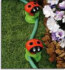 Gevin - GVP-413A - As Seen on TV - Ladybug Hose Guides